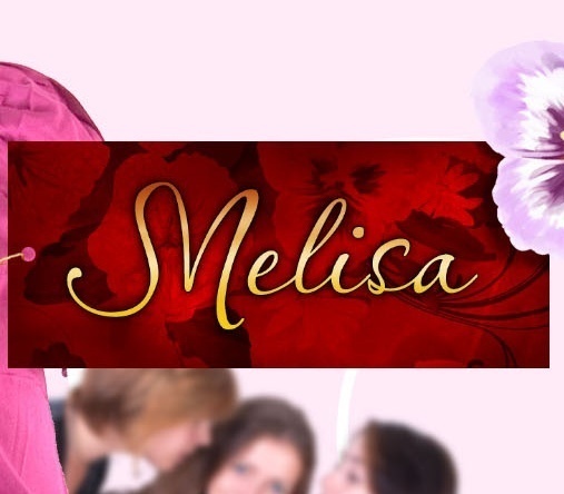 Создание логотипа для компании "Мелиса"