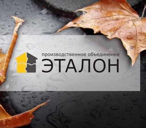 Разработка логотипа ПО «Эталон»
