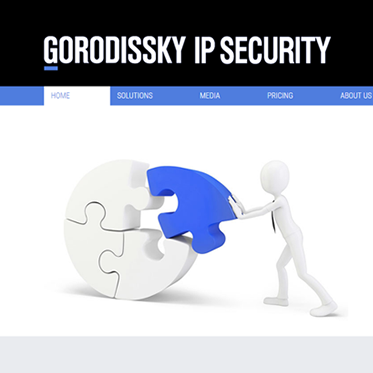 Создание сайта "Gorodissky IP Security"